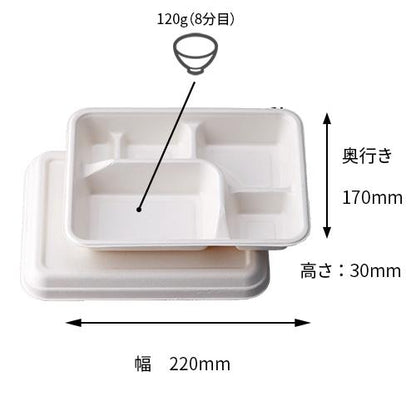 【環境配慮型 パルプモールド容器】セパレートシリーズ 紙製弁当容器　幅168mm～272mm